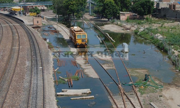 Can be spread by rain water in pali colonies