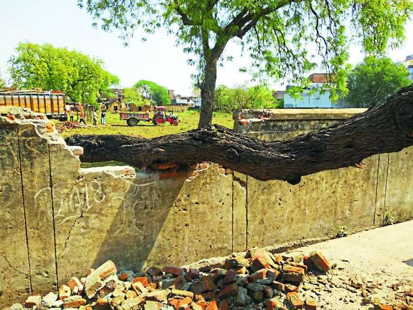 Rain accompanied by thunderstorms in the night, trees inundated