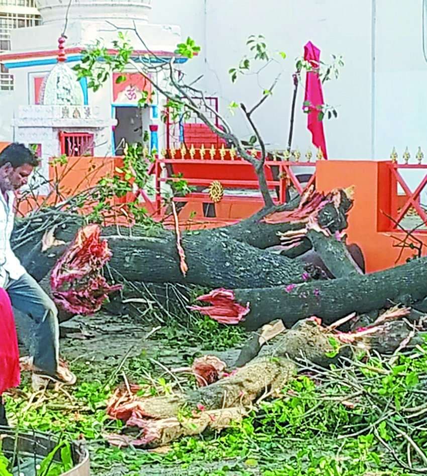 Rain accompanied by thunderstorms in the night, trees inundated